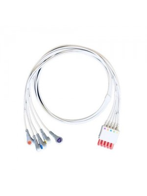 Câble principal  ECG 4 dérivations Zoll